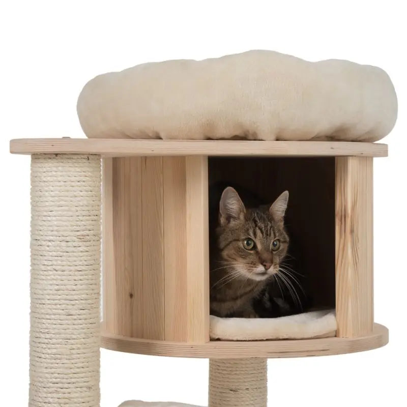 Casinha para Gatos com Cama e Rede