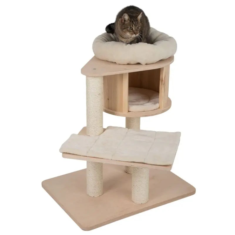 Casinha para Gatos com Cama e Rede